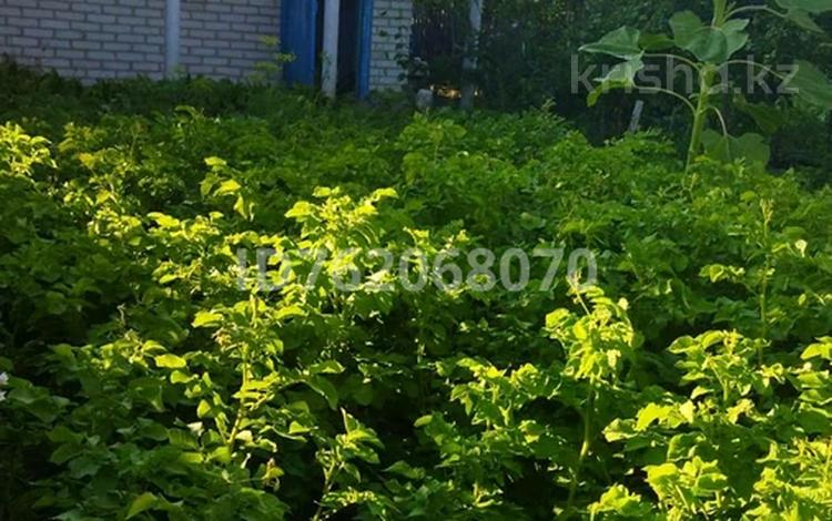 Саяжай · 1 бөлме · 21 м² · 4 сот., Мичурина 956, бағасы: 2.2 млн 〒 в Костанае — фото 5