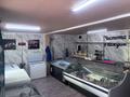 Еркін · 1500 м², бағасы: 25 млн ₸ в Житикаре — фото 3