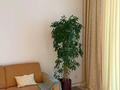 3-комнатная квартира · 100 м², Амман 21 за 3 млн ₸ в Астане, Алматы р-н — фото 3