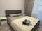 2-комнатная квартира · 52 м² · 3/10 этаж, Наурызбай Батыра 138 — Назарбаева за 12 000 ₸ в Кокшетау
