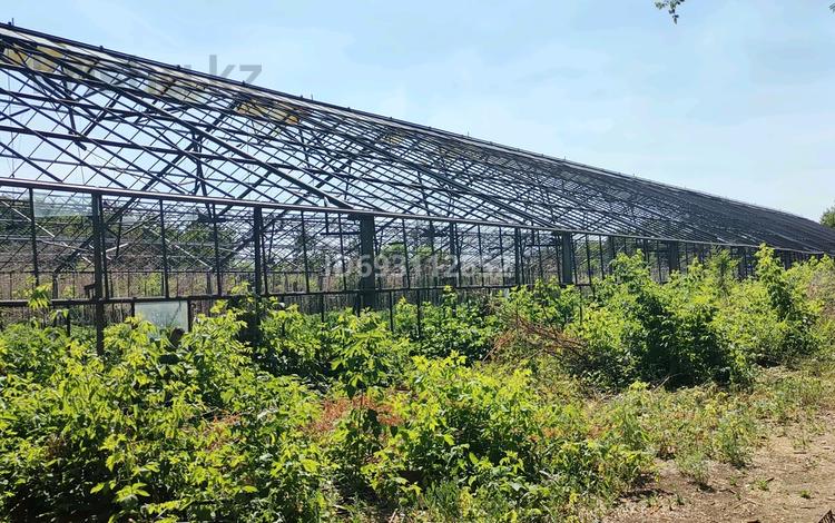 Свободное назначение · 4150 м² за 50 млн ₸ в Павлодаре — фото 19