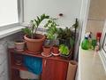 2-бөлмелі пәтер · 52 м² · 1/9 қабат, 9-ші шағым аудан 7/1 — 15 магазина, бағасы: 26 млн ₸ в Костанае, 9-й микрорайон — фото 5