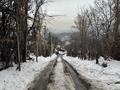 Отдельный дом · 7 комнат · 180 м² · 6 сот., мкр Каменское плато, СТ Каменское плато 16 — Ленина Оспанова за 75 млн ₸ в Алматы, Медеуский р-н — фото 3