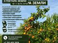 Участок · 3 га, Жаркент за 40 млн ₸