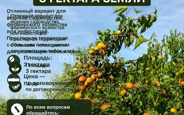 Участок · 3 га, Жаркент за 40 млн ₸ — фото 33