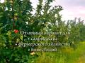 Участок · 3 га, Жаркент за 40 млн ₸ — фото 3