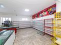 Свободное назначение, офисы, магазины и бутики, образование · 480 м² за 55 млн 〒 в Караоткеле