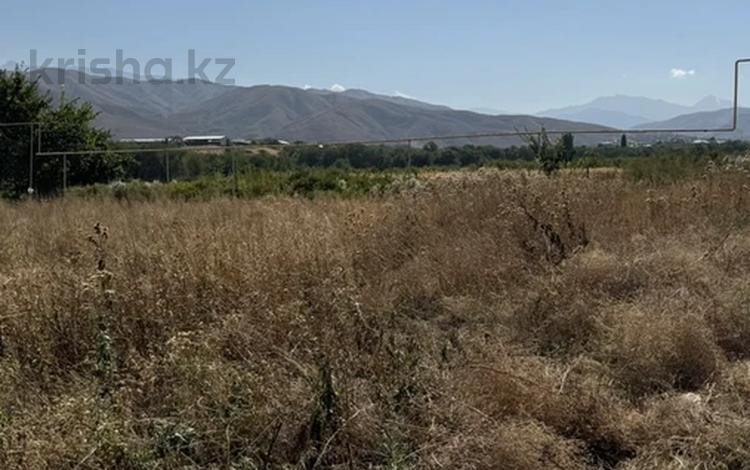 Участок · 6 соток, Райымбек — Сенная за 11.5 млн ₸ в Каскелене — фото 2