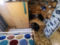 4-комнатная квартира · 78 м² · 3/3 этаж, Пришахтинск, Кемеровская 38 за 24.5 млн ₸ в Караганде, Алихана Бокейханова р-н — фото 10