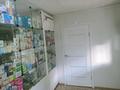 Медцентры и аптеки • 53.3 м² за 15 млн 〒 в Костанае — фото 2