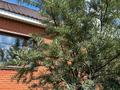 Отдельный дом · 6 комнат · 117.7 м² · 10 сот., Маметова 72 за 38 млн ₸ в Кояндах — фото 26