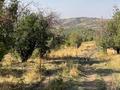 Участок · 4 га, Бескайнар (Горный Садовод) за 150 млн ₸ — фото 5