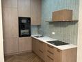 2-комнатная квартира · 50 м² · 10/12 этаж, К. Толеметова 64 за 300 000 ₸ в Шымкенте, Абайский р-н — фото 3