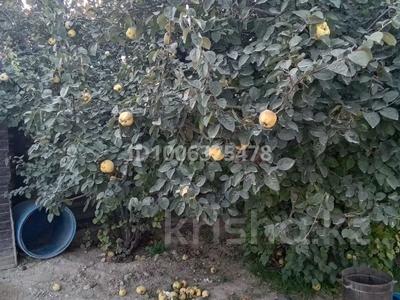 Отдельный дом · 4 комнаты · 230 м² · 6 сот., Арман 122 — 2 улица. на право за 13.5 млн ₸ в Атамекене