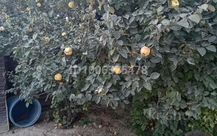 Отдельный дом · 4 комнаты · 230 м² · 6 сот., Арман 122 — 2 улица. на право за 13.5 млн 〒 в Атамекене — фото 2