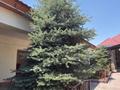 Отдельный дом · 5 комнат · 153.2 м² · 89800 сот., Хусеина 17 — Кудайбердиева за 61 млн ₸ в Таразе — фото 11