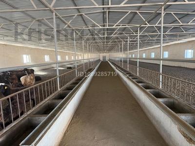 Промбаза · 1 га, Рауан 4 — Рекон за 115 млн 〒 в Умирзаке