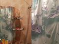 2-бөлмелі пәтер · 50 м² · 4/5 қабат, мкр Север 63, бағасы: 23 млн ₸ в Шымкенте, Аль-Фарабийский р-н — фото 12