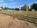 Участок · 10 соток, Кордай 116 за 125 млн ₸ в Астане, Алматы р-н — фото 2