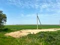 Жер телімі · 50 сотық, Қараой, бағасы: 12.5 млн ₸ в Караой — фото 7
