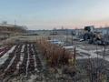 Участок · 80 соток, Село Коктоган 139 — Алматинская область Карасайский район Село Коктоган (Чапаево) за 80 млн 〒 в Коктагане (Чапаеве) — фото 23