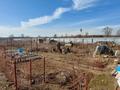 Участок · 80 соток, Село Коктоган 139 — Алматинская область Карасайский район Село Коктоган (Чапаево) за 80 млн 〒 в Коктагане (Чапаеве) — фото 26