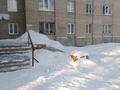 2-комнатная квартира · 45 м² · 2/9 этаж, Лихарева 10 за 12.8 млн ₸ в Усть-Каменогорске — фото 14