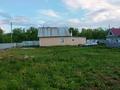 Отдельный дом · 3 комнаты · 85 м² · 20 сот., Клубная 11 за 13.5 млн ₸ в Кокпекты — фото 3