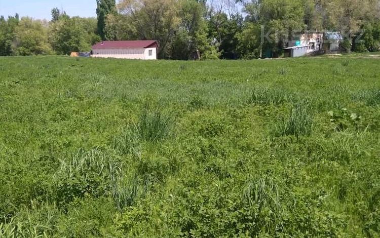 Участок · 6.5 га, Байтерек (Новоалексеевка) за 120 млн ₸ — фото 2