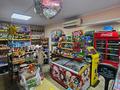 Магазины и бутики • 58 м² за 20 млн 〒 в Актобе, Нур Актобе — фото 3