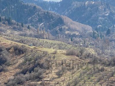 Жер телімі 1 га, Село Бескайнар, бағасы: 75 млн 〒 в 