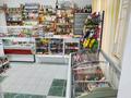 Магазины и бутики • 41 м² за 20.5 млн 〒 в Семее — фото 7