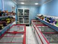 Свободное назначение, офисы, магазины и бутики, склады, общепит, салоны красоты, медцентры и аптеки, образование, развлечения · 150 м² за 47 млн ₸ в Актау, 6-й мкр — фото 15