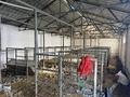 Жеке үй · 6 бөлме · 400 м² · 15 жүзд., Конаева — С. Аксай, бағасы: 45 млн ₸ — фото 12