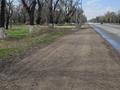 Жер телімі · 1 га, Алатау, бағасы: 5.5 млн ₸ — фото 4