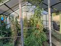 Отдельный дом · 6 комнат · 350 м² · 25 сот., Красный восток за 85 млн ₸ в Есик — фото 11