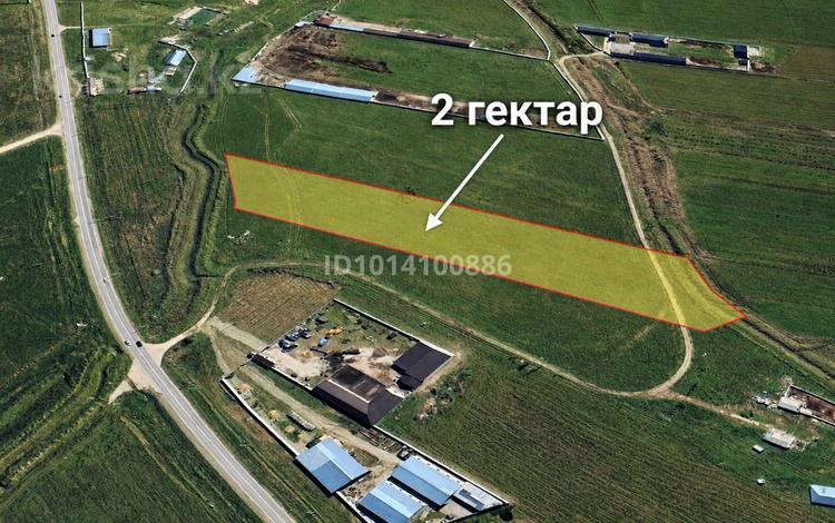 Участок · 2 га, ЖМ Алтынтобе за 40 млн ₸ в Шымкенте, Абайский р-н — фото 2