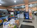 Магазины и бутики • 999 м² за 117 млн 〒 в Жамбыл (Жамбылский район) — фото 3