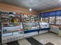 Магазины и бутики • 999 м² за 117 млн 〒 в Жамбыл (Жамбылский район) — фото 6