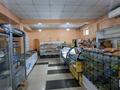 Магазины и бутики • 999 м² за 117 млн 〒 в Жамбыл (Жамбылский район) — фото 7
