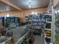 Магазины и бутики • 999 м² за 117 млн 〒 в Жамбыл (Жамбылский район) — фото 8