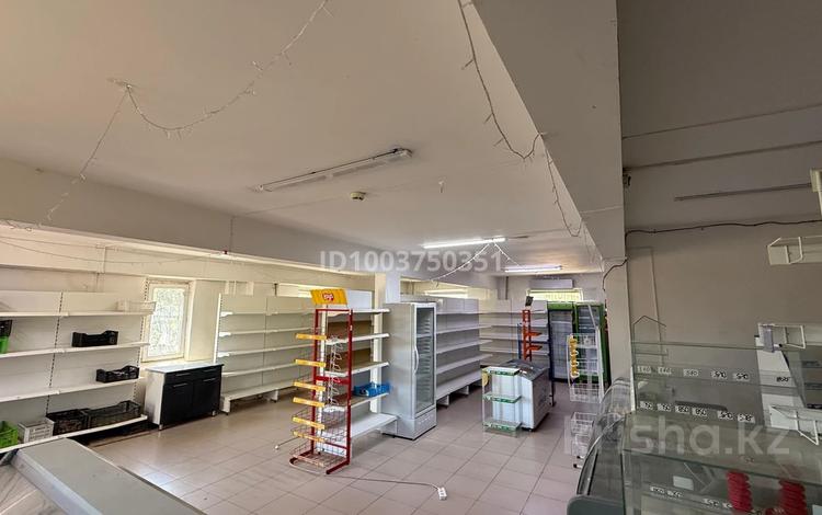 Еркін · 100 м², бағасы: 25 млн ₸ в Балхаше — фото 2