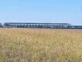Участок · 200 соток, мкр Алгабас 7138/3 за 260 млн ₸ в Алматы, Алатауский р-н — фото 3