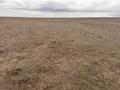 Участок · 20 га, Конаев за 600 млн ₸ — фото 5