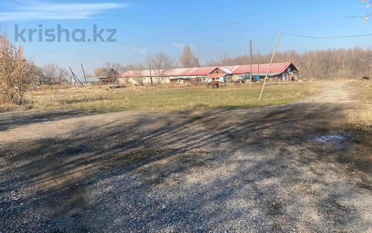 Жер телімі · 4.2406 га, Бельбулак, бағасы: 600 млн ₸ в Бельбулаке (Мичурино) — фото 4