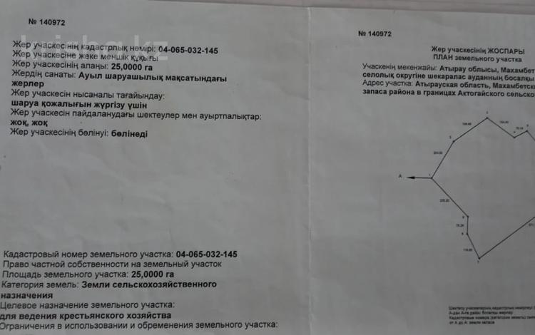 Участок 25 га, Атырауская обасть, Махамбетский район — Вдоль трассы за 100 млн 〒 — фото 3