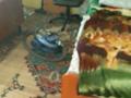 Дача · 1 комната · 14.6 м² · 4 сот., СО Пригородное, улица 3 дом 67 за 1.6 млн ₸ в Костанае — фото 24