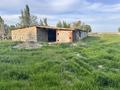 Отдельный дом · 4 комнаты · 40 м² · 40 сот., Алимкула Жылкыбайулы 32 за 7.5 млн ₸ в Асе — фото 4