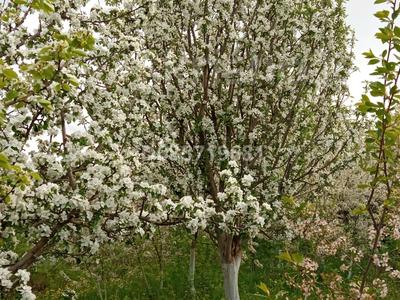 Дача · 1 комната · 12 м² · 6.4 сот., Локомотив за 4.5 млн 〒 в Уральске