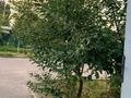 Жеке үй · 7 бөлме · 165 м² · 8 жүзд., Шаңырақ-2 ш/а. — Жапек батыр 4, бағасы: 65 млн ₸ в Алматы, Алатауский р-н — фото 20